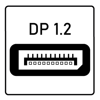 DisplayPort 1.2