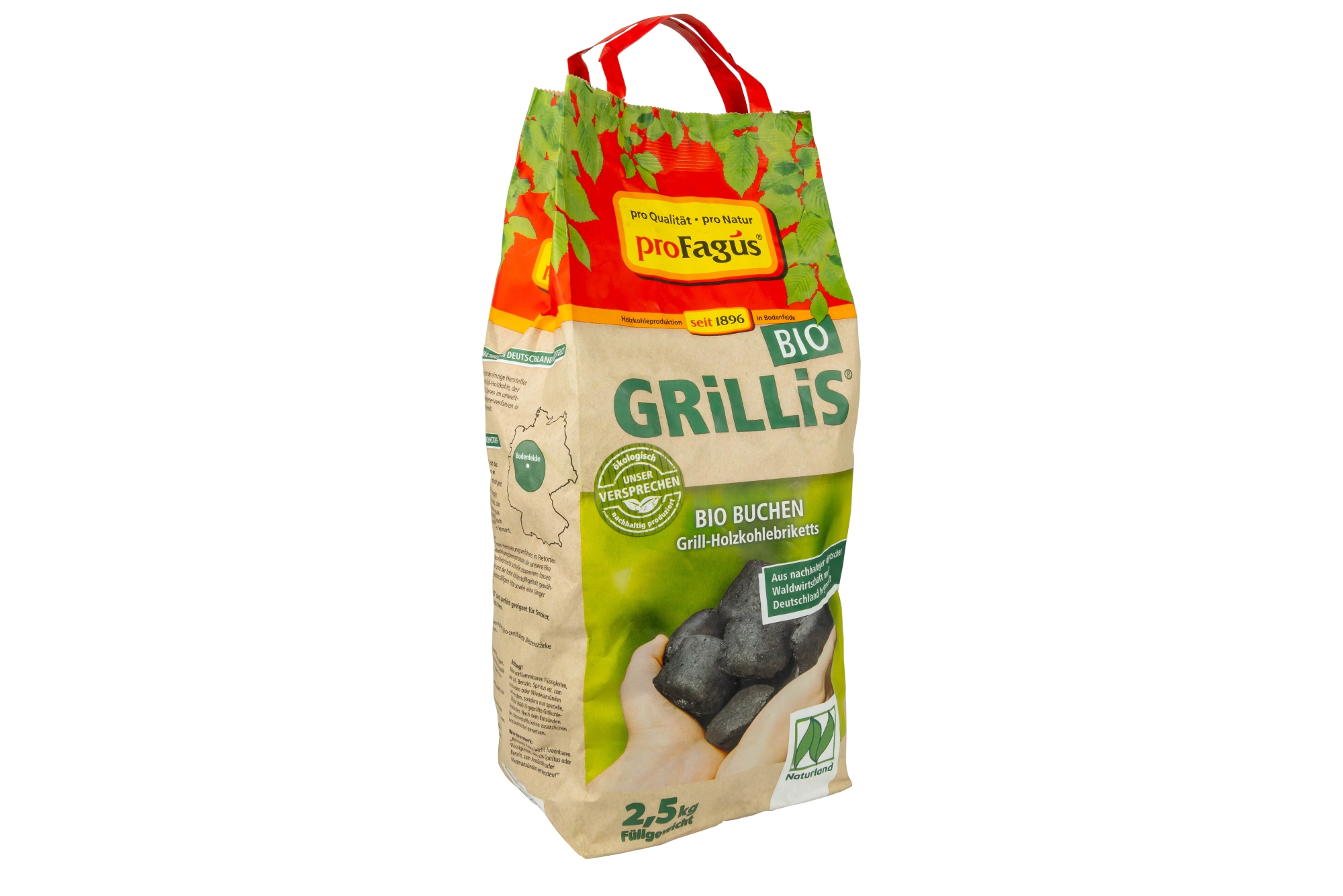 GRiLLiS® – Buchen Grill-Holzkohlebriketts in Bio-Qualität, 2,5 kg